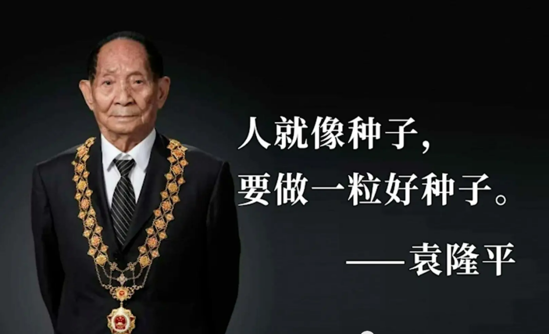 89d78c76295a980081b6e8ee18173a08 bifa·必发集团(中国)唯一官方网站